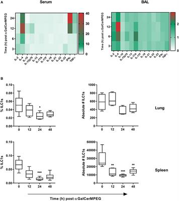 Invariant NKT Cell-Mediated Modulation of ILC1s as a Tool for Mucosal Immune Intervention